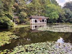 -杭州植物园