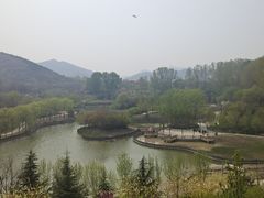 -石家庄市动物园