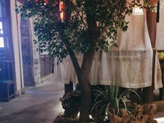 -江南大院松鼠桂鱼(奉贤宝龙店)