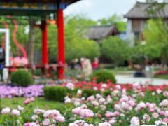 -武汉园博园(武汉自然博物馆)