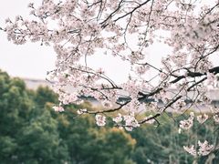 -南浦大桥长途旅游客运站