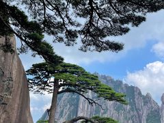 -黄山风景区