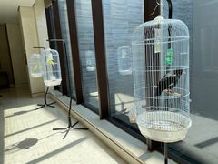 -上海崇明金茂凯悦酒店