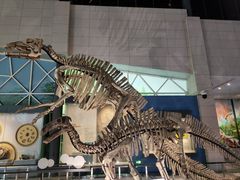 -湖南省地质博物馆