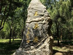 -北坞公园