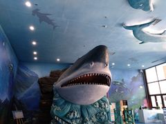 -多彩贵州城极地海洋世界