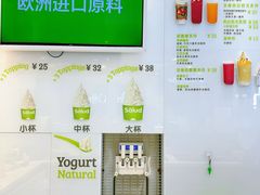 -Salud撒露欧洲冻酸奶(蓝色港湾店)