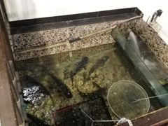 -河上轩(湖墅北路店)