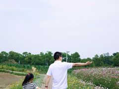 -阳澄湖半岛旅游度假区