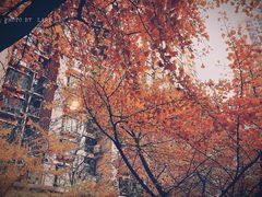 -苏州河梦清园环保主题公园