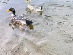 -梅州天地人花园酒店(梅县人民广场店)