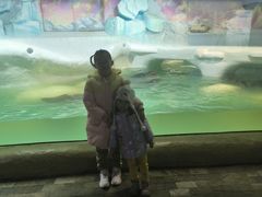 -大连圣亚海洋世界