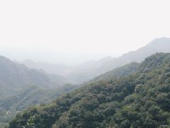 -大岭沟猕猴桃谷风景区