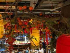 -湘水谣(芙蓉店)