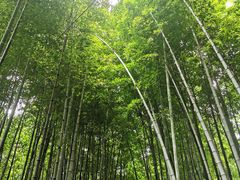 -宝岩生态观光园