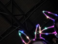 -苏州独墅湖体育馆