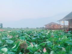 -军山湖云水间水上餐厅(进贤店)
