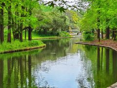 -上海共青森林公园