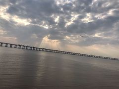 -宝安西湾红树林湿地公园