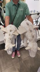 -国际蓝孩(将台路店)