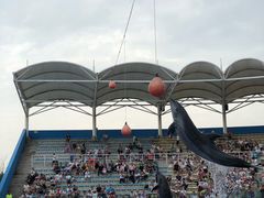 -北戴河圣蓝海洋公园