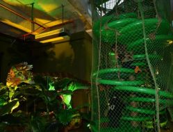 点击看大图 -恐龙探索乐园(磁器口店)