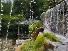 深海鱼养生迷你小火锅-厦门园林植物园-植物园滴水山房