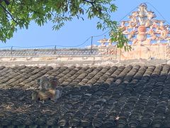 -白帝城·瞿塘峡景区