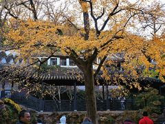 -无锡惠山寺
