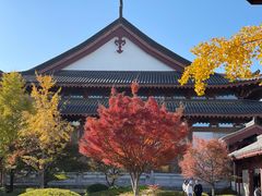 -浙江大学(紫金港校区)