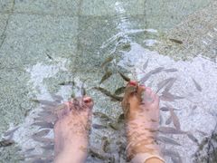 -碧水湾温泉