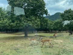 -西安秦岭野生动物园
