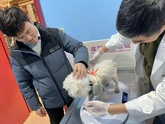 -哆趣宠物医院·眼科·内镜·急重症转诊中心(上海店)