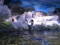 -暹罗海洋世界