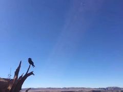 -科罗拉多大峡谷