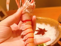 -月龍吟(朝龙汇店)