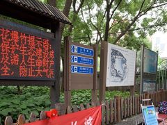-莲花池公园