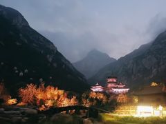 -禅宗少林·音乐大典