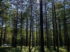 -广州市白云山风景名胜区
