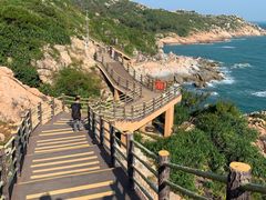 -广东惠东海龟国家级自然保护区
