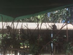 -可伦宾野生动物保护区