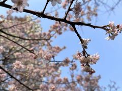 景点-南京中国近代史遗址博物馆(南京总统府)
