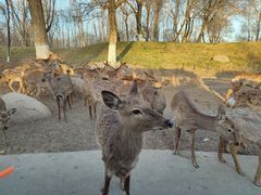-北京野生动物园