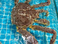 -三亚火车头万人海鲜广场