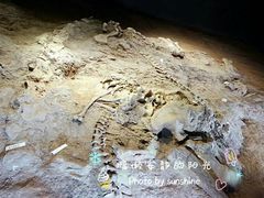 -世界恐龙谷景区