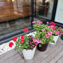 -爱儿美儿童摄影(朝阳公园店)
