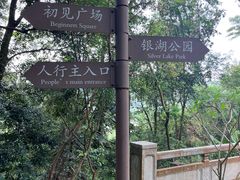 -银湖山郊野公园-相思林