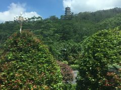 -云洞岩风景区