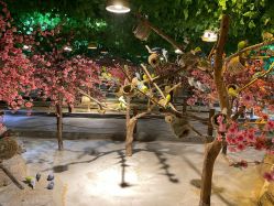 -酷嗒动物文化乐园(cutezoo西溪乐天城店)