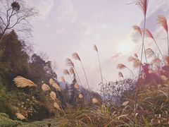 -老峨山风景区